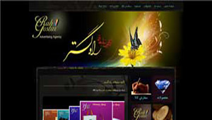 طراحي سايت,طراحي وب,طراحي وب سايت,طراحي پورتال,طراحي فروشگاه آنلاين,فروش هاست,گروه نرم افزاری نیووب